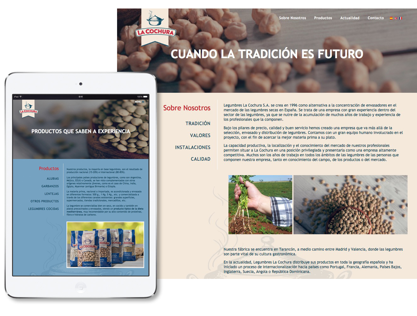 diseño página web responsive para La Cochura